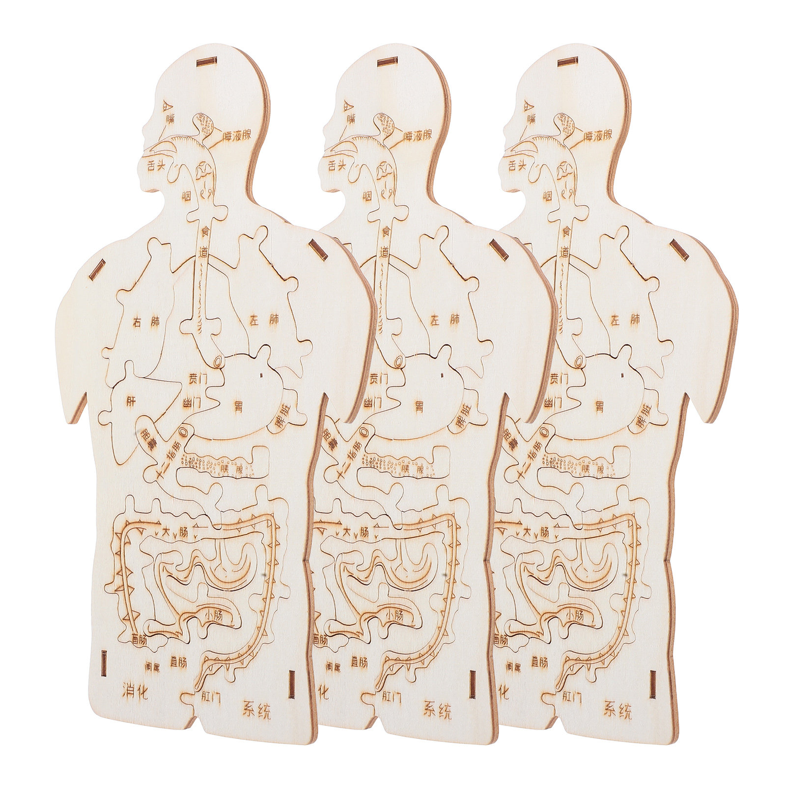 3Pcs Wooden Human Body Puzzle  - огляд і ціна Kids Education System