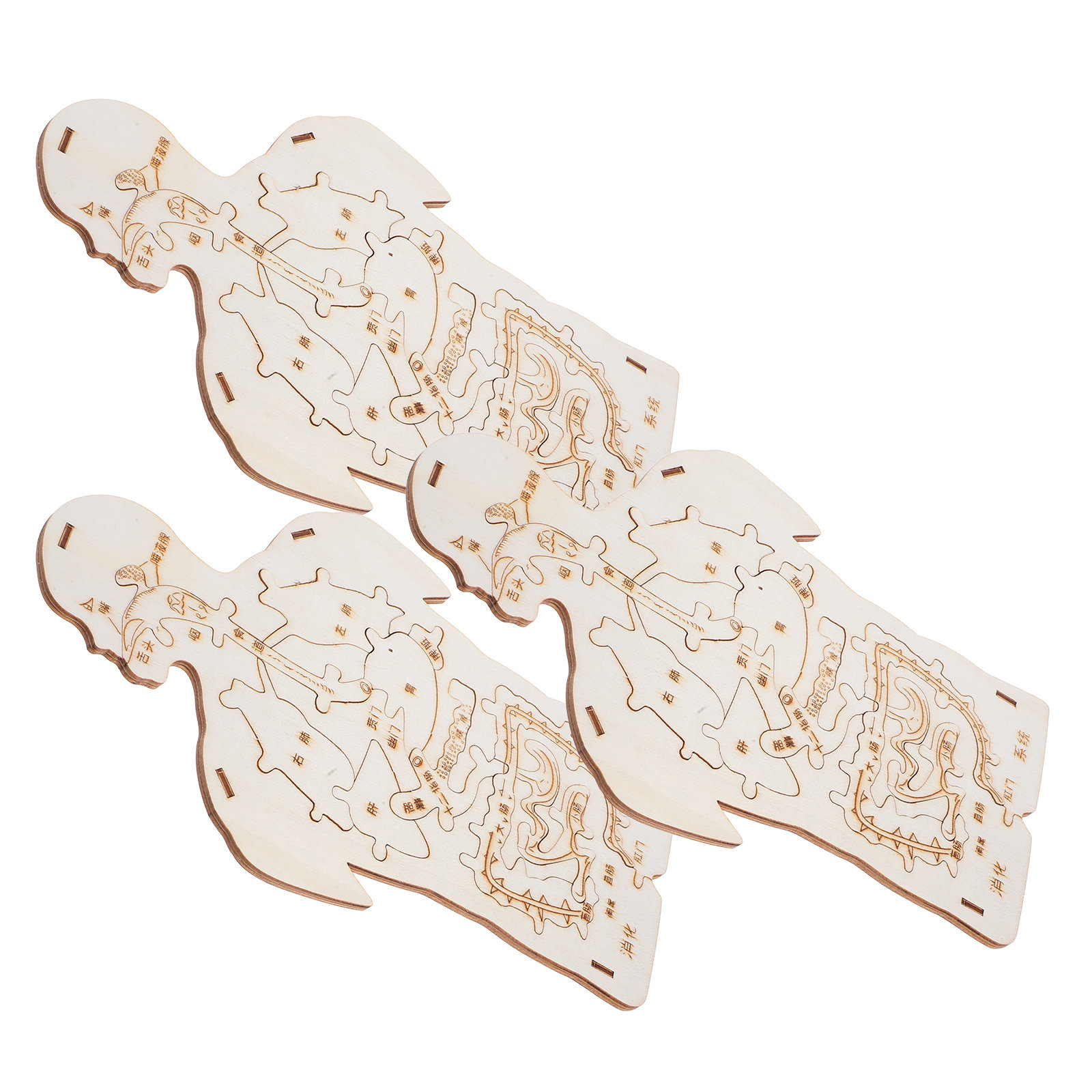 3Pcs Wooden Human Body Puzzle  - огляд і ціна Kids Education System