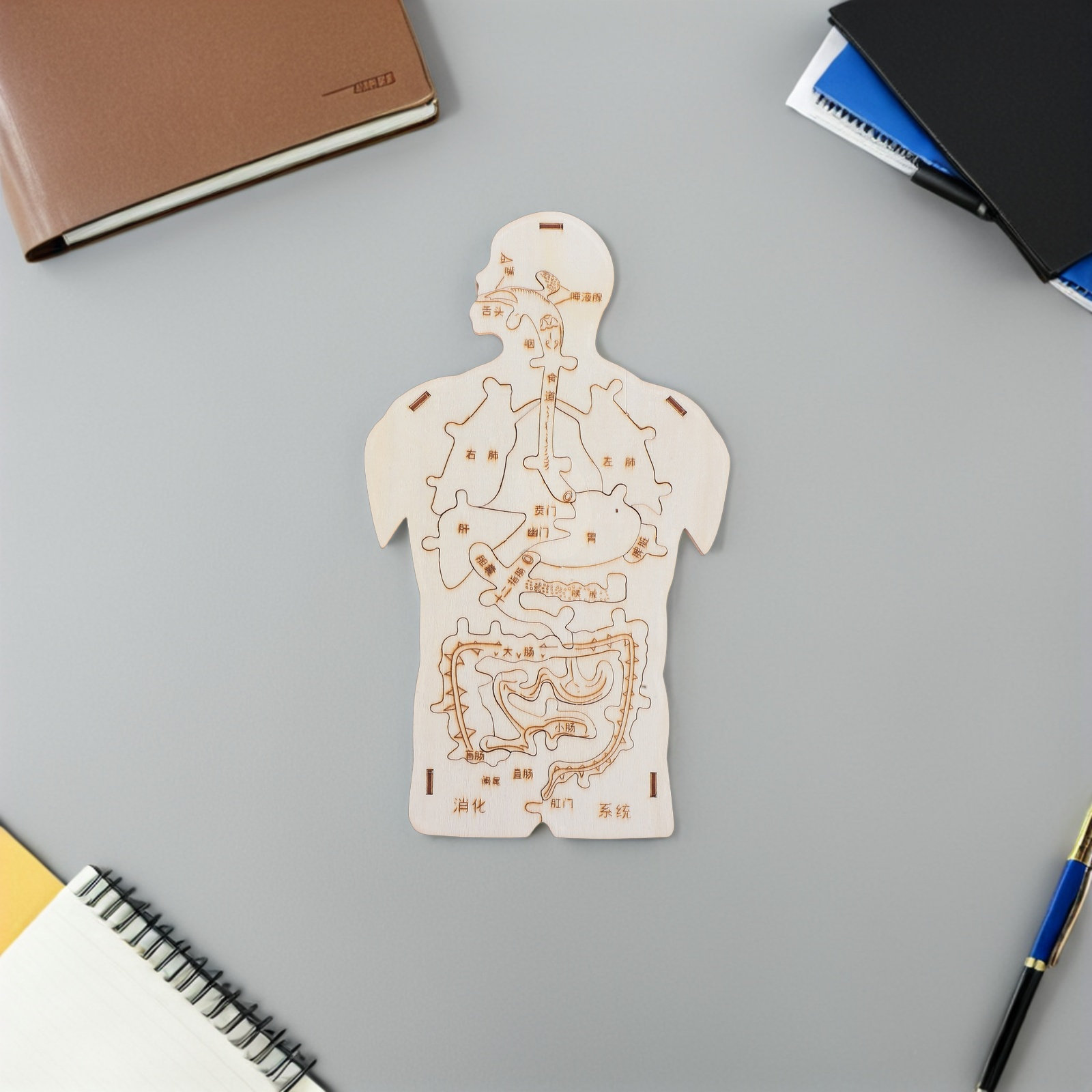 3Pcs Wooden Human Body Puzzle  - огляд і ціна Kids Education System