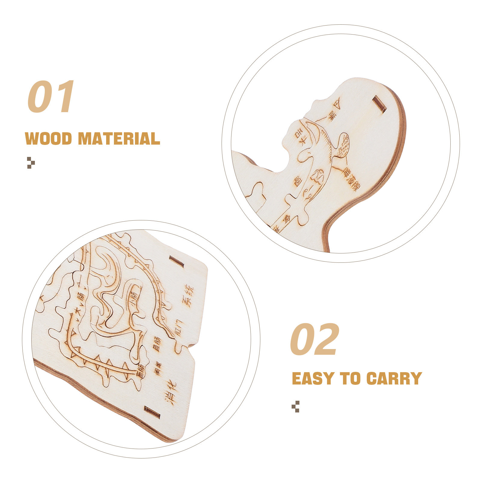 3Pcs Wooden Human Body Puzzle  - огляд і ціна Kids Education System