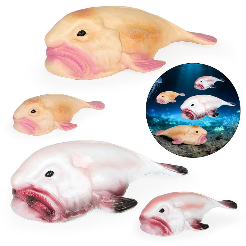 Oenux Australia Deep-Sea Fish  - огляд і ціна Kids Education In Australia